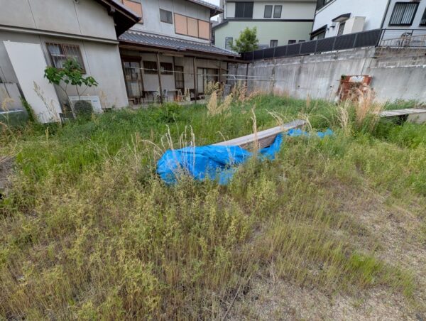 アグモス05
